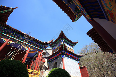 旅游观光景风景森林宗教历史宝塔建筑蓝天公园大树寺庙图片