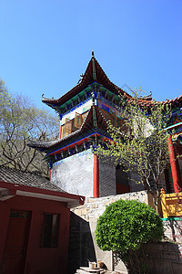 旅游观光景大树历史游客公园宝塔蓝天旅行宗教森林寺庙图片