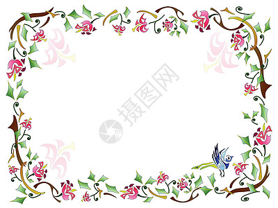 花框框架植物群艺术水平作品绘画白色植物中风翅膀装饰品图片