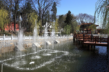 风景地点盆地喷泉城市树木建筑喷水蓝天公园风光植物图片