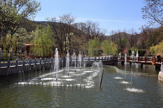 风景地点壁龛植物园建筑绿色蓝天喷水城市树木风光盆地图片