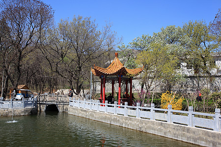 风景地点盆地绿色喷泉植物城市树木公园风光壁龛建筑图片