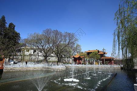 风景地点喷泉城市喷水建筑盆地蓝天植物园绿色植物树木图片