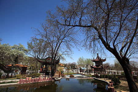 风景地点壁龛树木植物园公园城市风光建筑植物盆地喷泉图片