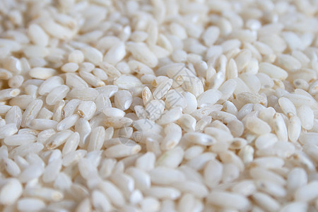 大米稻米淀粉背景机构颗粒状白色食物种子营养农场背景图片