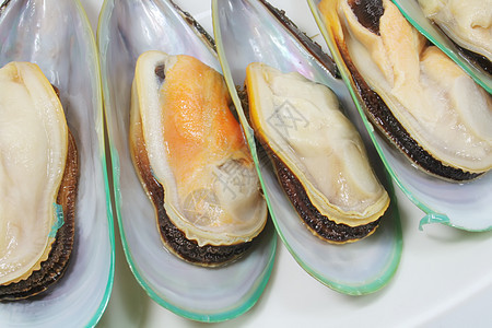 贝壳食物美食盘子蛤蜊贝类海鲜贻贝牡蛎图片