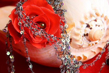 红玫瑰珍珠首饰手镯项链珠饰玫瑰珠子细绳花瓣贝壳配件图片