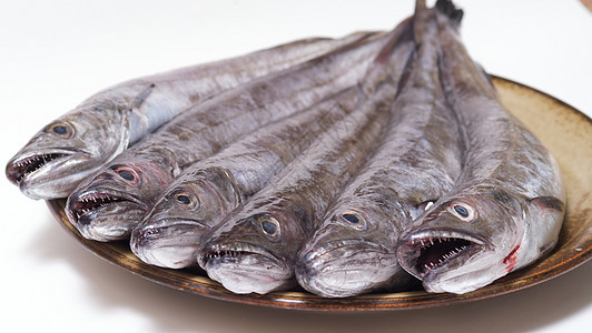 哈克海鱼海产食品图片