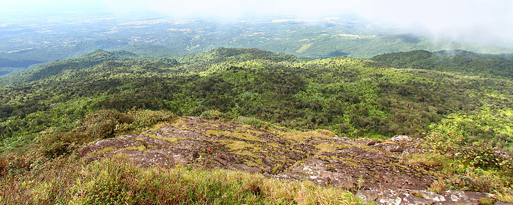 波多黎各雨林环境敬畏荒野里科天堂薄雾栖息地森林顶峰旅游图片