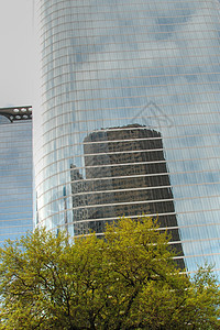 得克萨斯州下城休斯顿建筑学蓝色摩天大楼建筑旗帜城市河口商业景观绿色图片