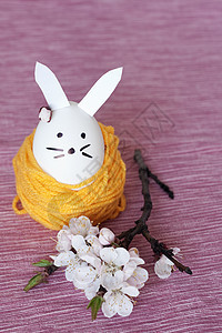 装饰复活节兔子和樱花花树枝粉色绿色紫色耳朵绞线黄色花束花朵图片