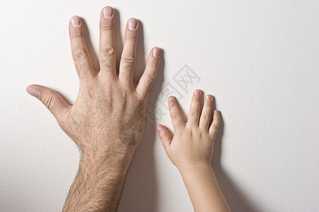 父亲和儿子的手皮肤朋友们孩子白色手指婴儿童年友谊父母阴影图片