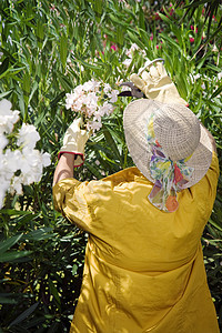 园艺服装活动修剪女士帽子刀具摄影工具植物家庭生活图片