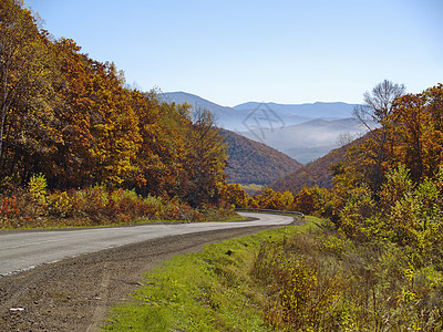 山地通往秋木蓝色天空黄色木头衬套沥青绿色棕色图片