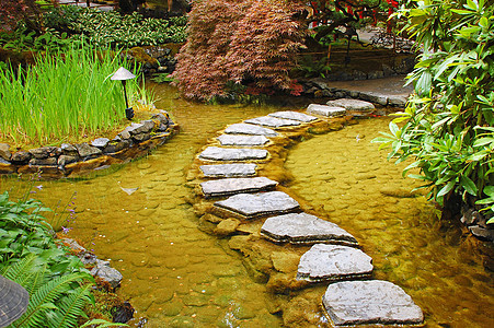 花园池径背景图片