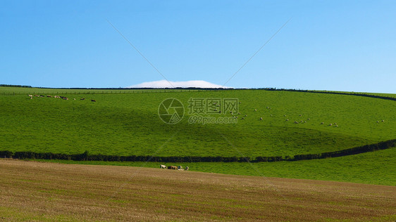 红心山蓝色全景草地绿色爬坡天际王国丘陵天空图片