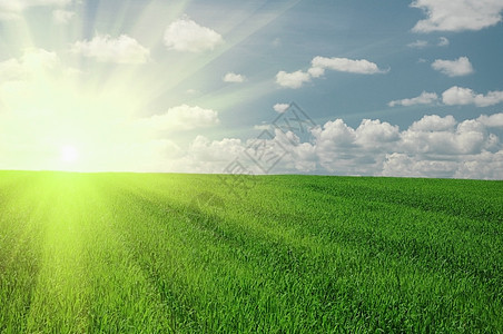 绿地和太阳天空季节农田绿色乡村场地蓝色环境农场草地国家图片