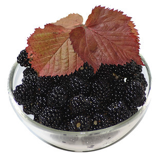 有黑莓和红叶的碗碗图片