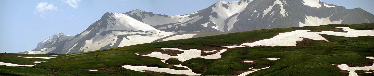 山山脉石头高地植被全景花朵岩石斜坡风景青菜草甸图片