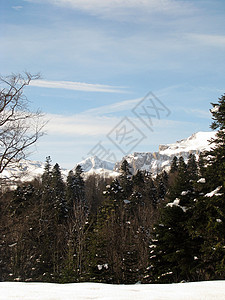 冬季一条路线斜坡冰川风景解脱山丘天空植被高山山峰图片