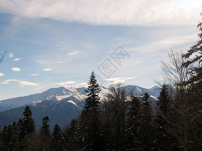 冬季解脱冰川山峰文件登山山丘斜坡风景松树植被图片