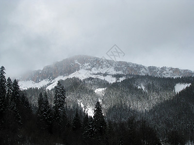 主要高加索山脊解脱植物群松树高山全景山峰风景斜坡旅行文件图片