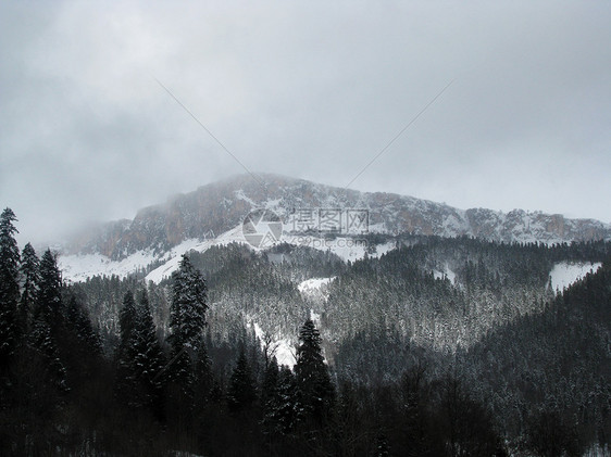 主要高加索山脊解脱植物群松树高山全景山峰风景斜坡旅行文件图片