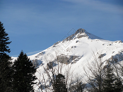 冬季解脱登山旅行松树风景天空木头植物群山丘山峰图片