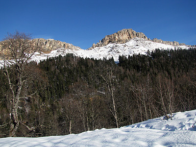 冬季青菜文件一条路线登山松树山丘风景解脱天空冰川图片