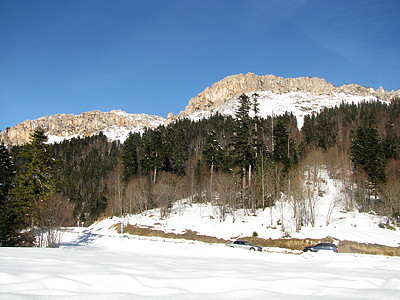 冬季天空木头斜坡山丘文件旅行一条路线山峰冰川植物群图片