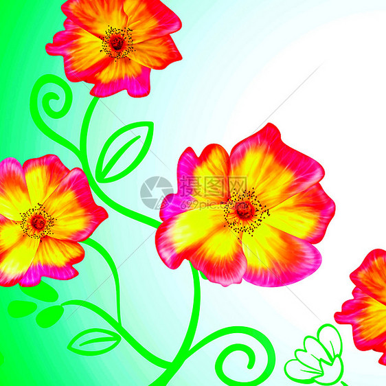 装饰矢量说明花朵树叶免费展示照片绘图五朵花装饰画牛花插图图片