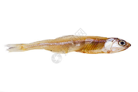 干鱼异国情调美味熏制海鲜盐渍美食生物白色动物群图片