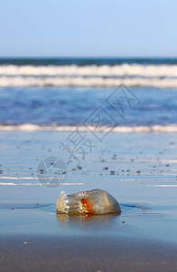 代托纳海滩的Jellyfish波浪栖息地海蜇天空海浪海岸海景支撑冲浪海岸线图片