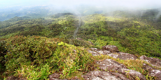 波多黎各雨林薄雾荒野环境生态旅游高度国家里科森林栖息地天堂图片