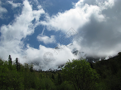 山山脉全景宽慰高地冰川植物群植被路线植物岩石生物圈图片