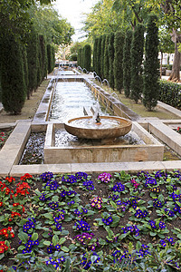 位于西班牙马洛卡岛公园的花园图片