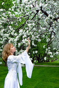 白娘子和白花苹果树女士树林草地传奇小精灵神话故事女性花园图片