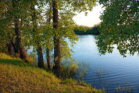 湖边的日落太阳树木晴天图片