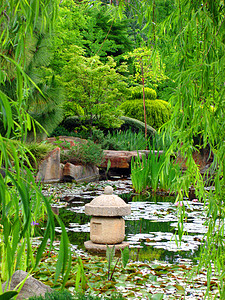 日本日本水花园百合绿色植物池塘宝塔岩石树叶植物石头荷花绿色图片