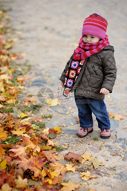 秋天公园的小婴儿图片