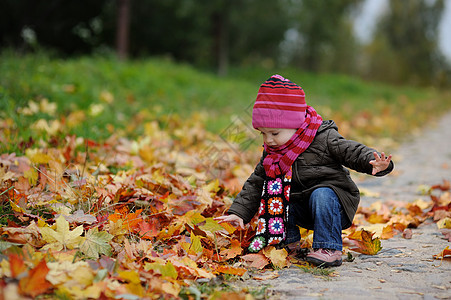 秋天公园的小宝宝帽子孩子幸福女儿童年婴儿快乐眼睛夹克树叶图片