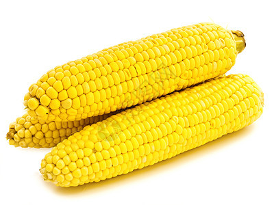 玉米粮食收成玉米粒纤维核心食物蔬菜营养美食棒子图片
