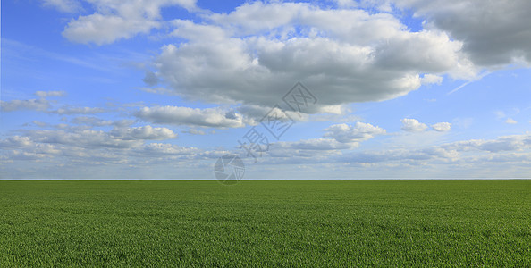 绿野草地文化农场小麦谷物风景植物云景天空蓝色图片