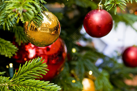 圣诞树和装饰品窗户金子红宝石店铺鹅卵石红色街道场地反射石头图片