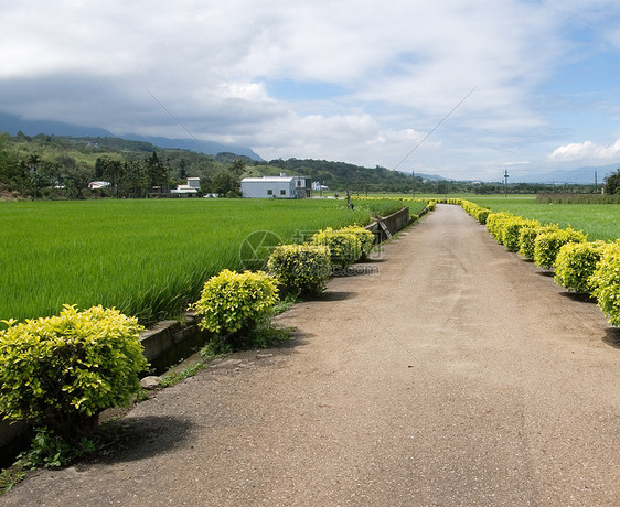 公路道路风景车道环境天空运输小路场景地平线街道痕迹图片