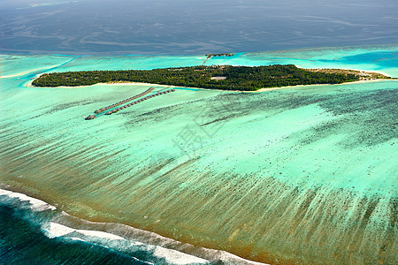 美丽的海洋假期旅行热带绿色棕榈放松海浪天堂太阳蓝色图片