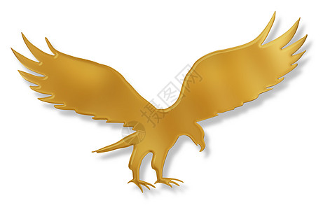 金鹰航班荒野野生动物鸟类金属插图攻击翅膀金子图片