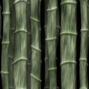 竹木木背景热带竹子森林木头花园图片