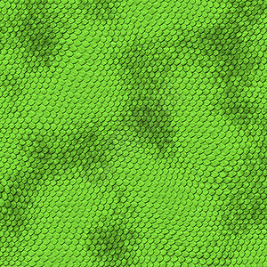 绿色蛇皮背景图片