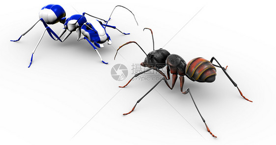 蚂蚁与油漆蓝蚂蚁交谈图片